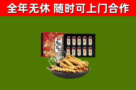 松江区烟酒回收冬虫夏草礼盒.jpg