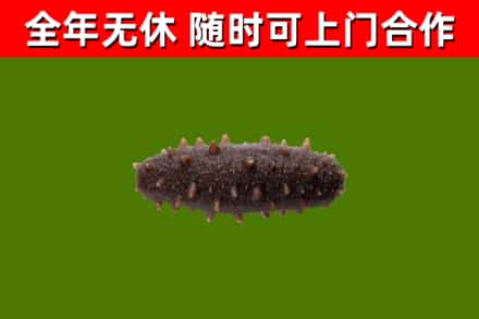 松江区烟酒回收干海参.jpg